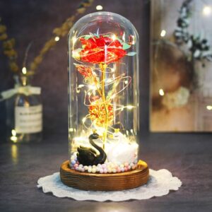 Rose Eternelle Lumineuse
