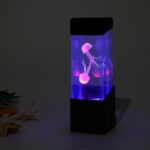 |14:29#jellyfish|14:366#jelly|14:200005536#volcano|14:100018786#fish tank